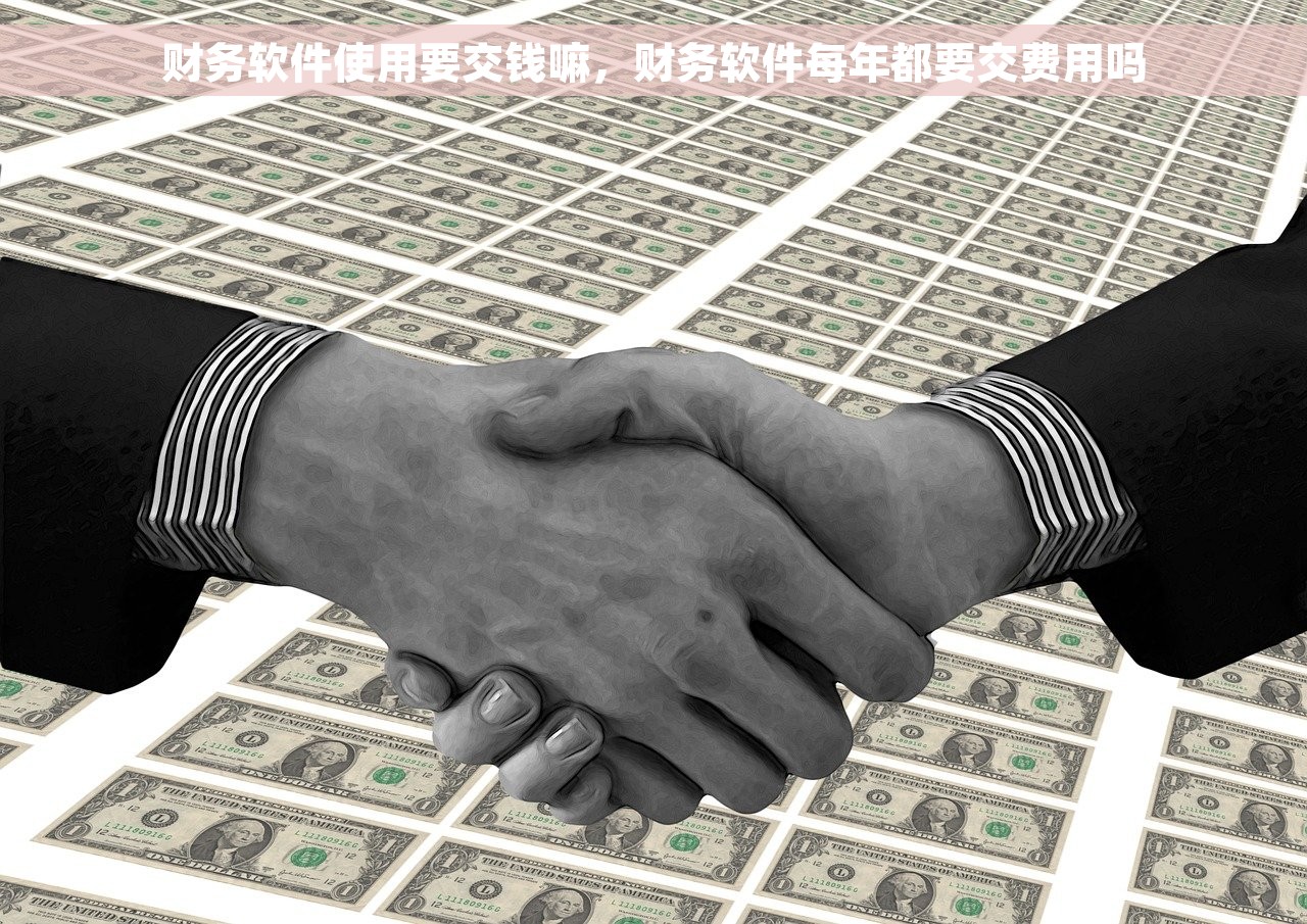 财务软件使用要交钱嘛，财务软件每年都要交费用吗