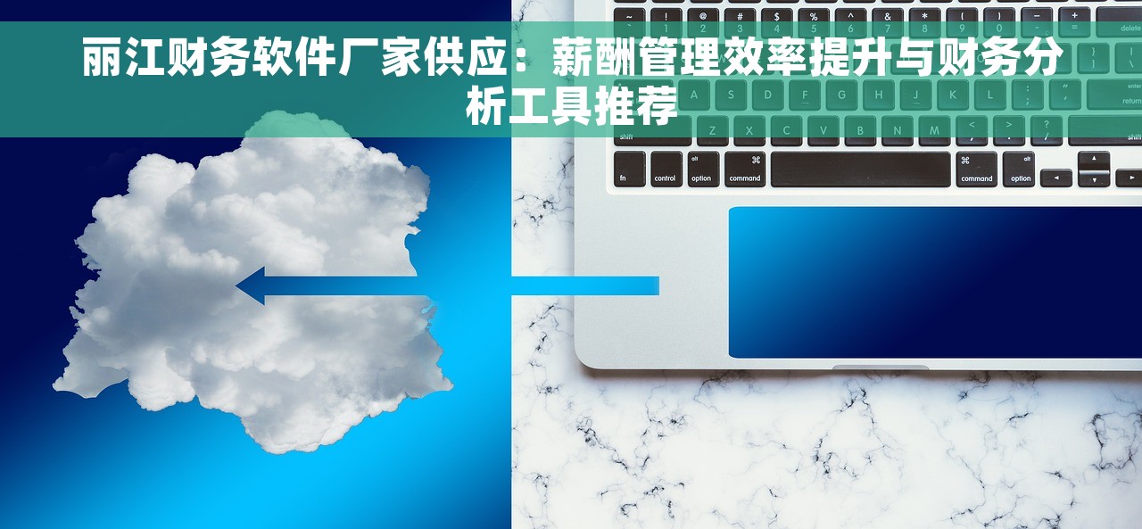 丽江财务软件厂家供应：薪酬管理效率提升与财务分析工具推荐