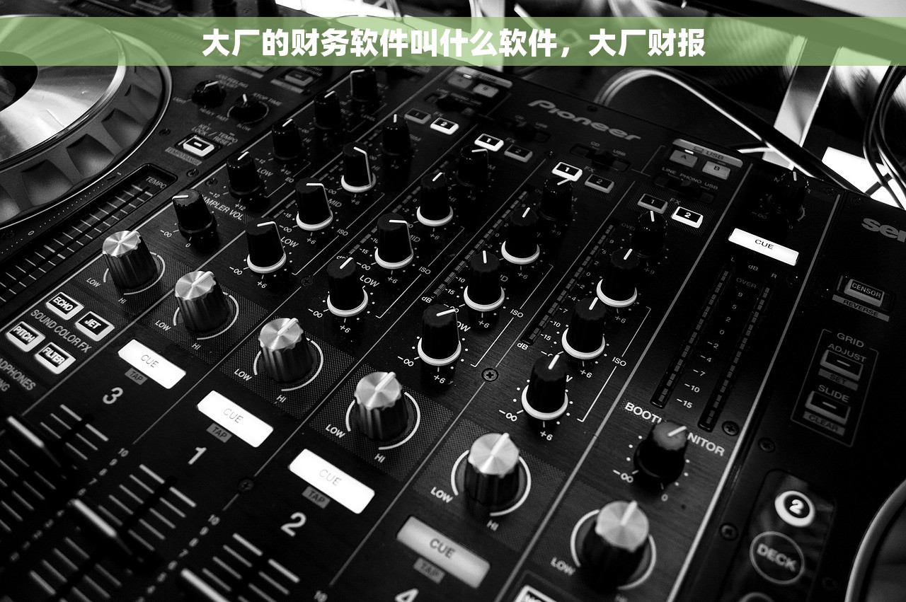 大厂的财务软件叫什么软件，大厂财报