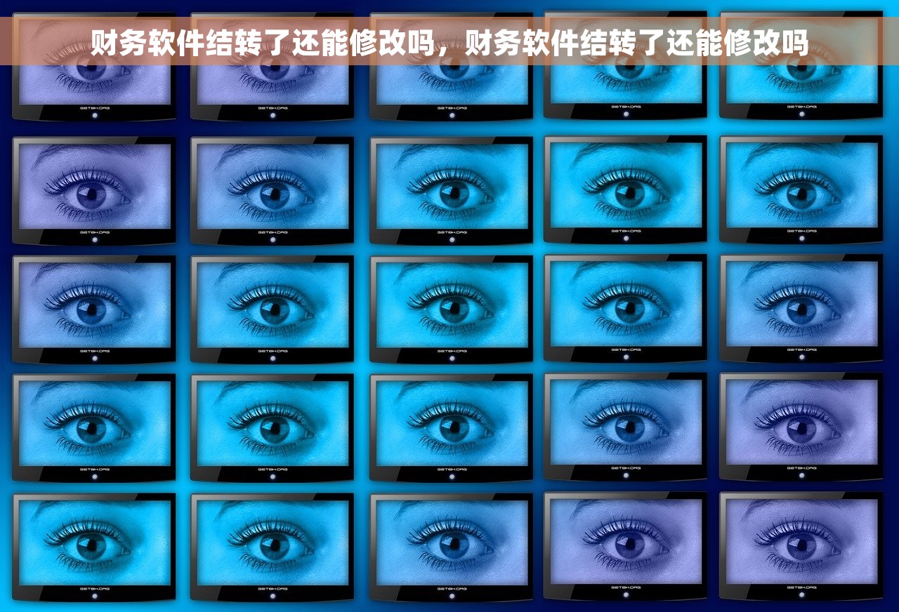 财务软件辅助核算有什么用途 财务软件辅助核算的重要性：节省运营成本、提升财务信息准确性