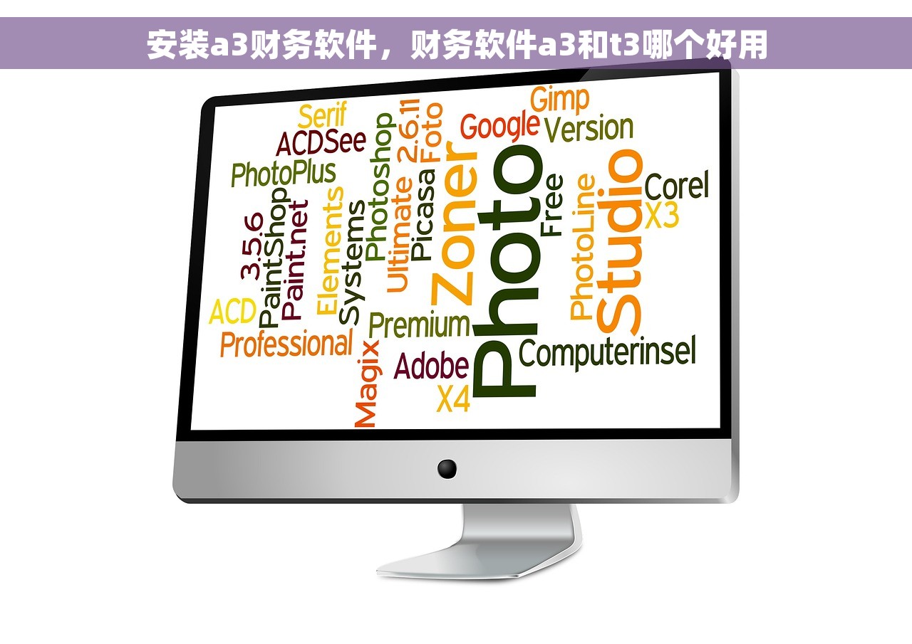 wp是什么财务软件，财务wp是什么意思