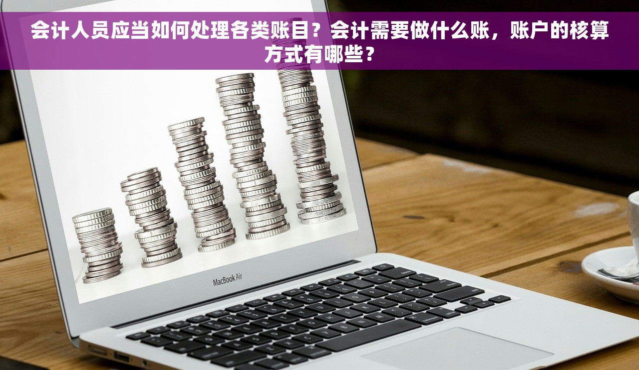 会计人员应当如何处理各类账目？会计需要做什么账，账户的核算方式有哪些？