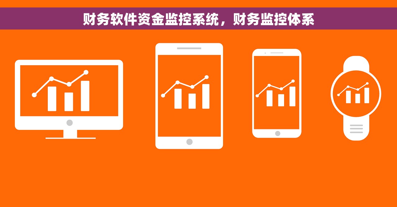 财务软件资金监控系统，财务监控体系
