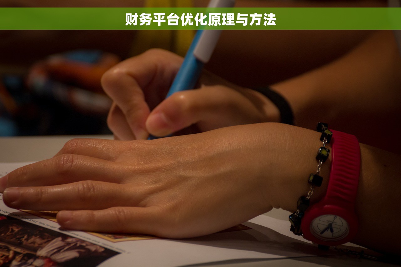 财务平台优化原理与方法