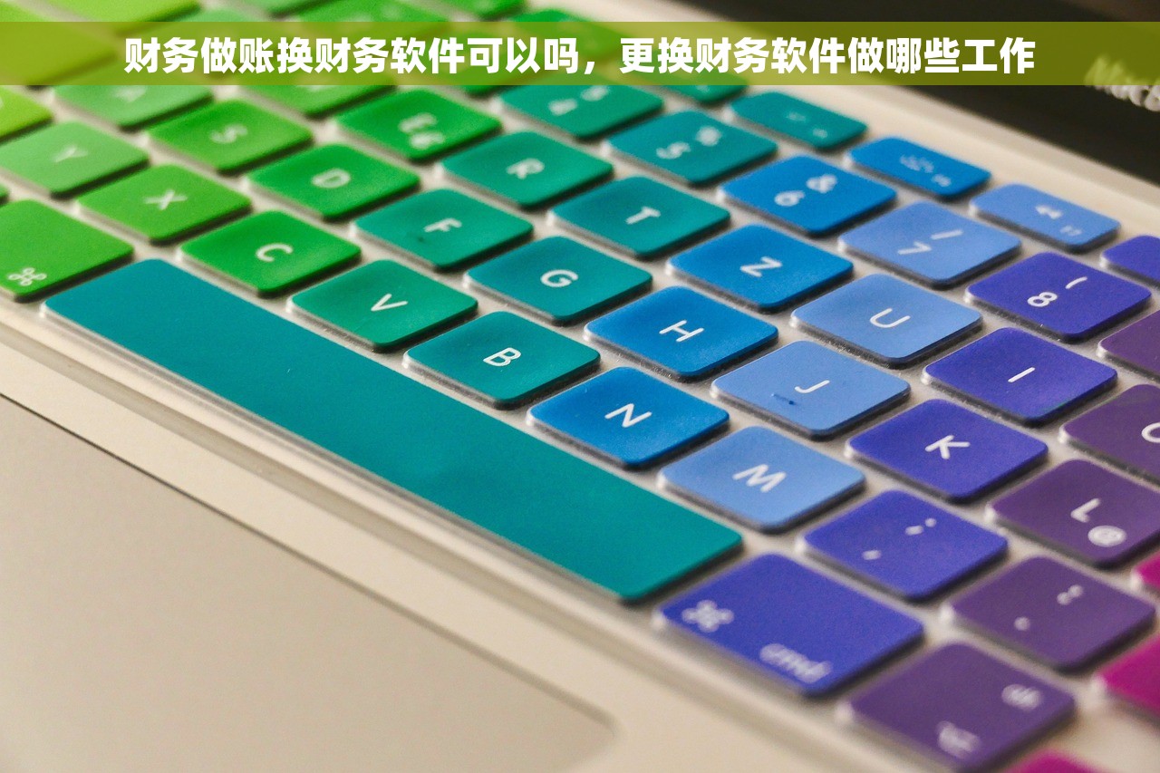 财务做账换财务软件可以吗，更换财务软件做哪些工作