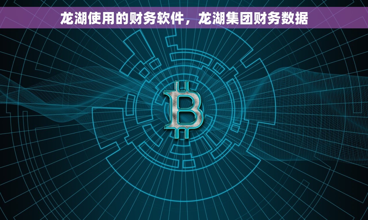 龙湖使用的财务软件，龙湖集团财务数据