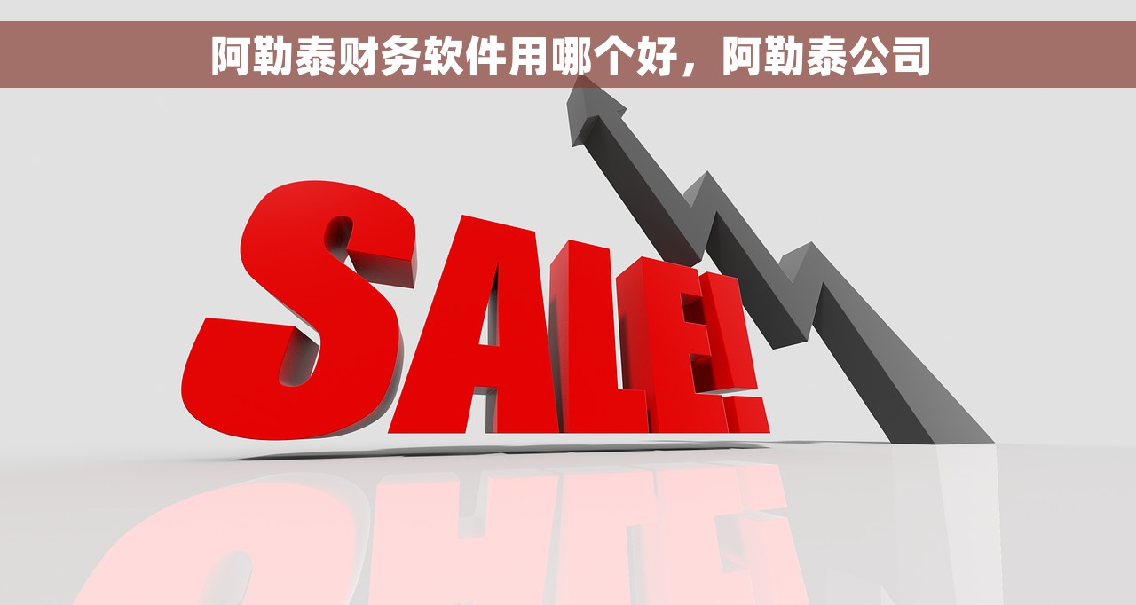 阿勒泰财务软件用哪个好，阿勒泰公司