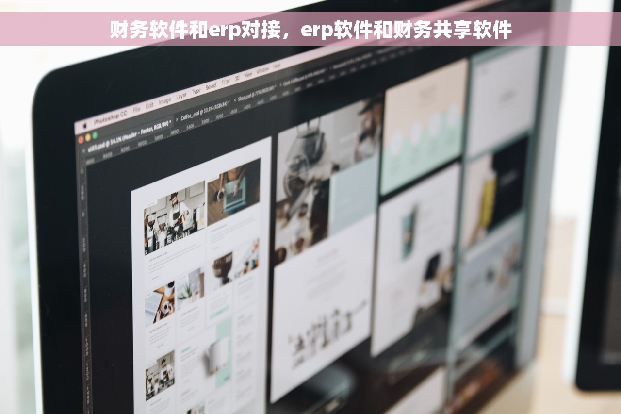财务软件和erp对接，erp软件和财务共享软件
