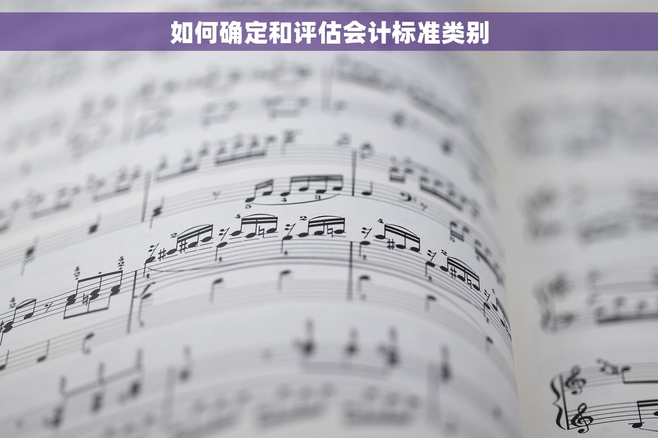 如何确定和评估会计标准类别