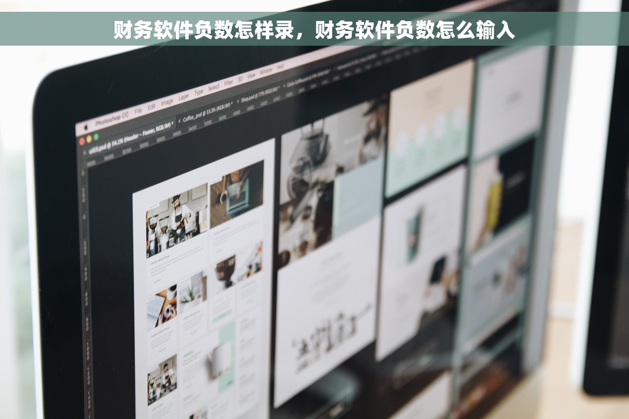 财务软件负数怎样录，财务软件负数怎么输入