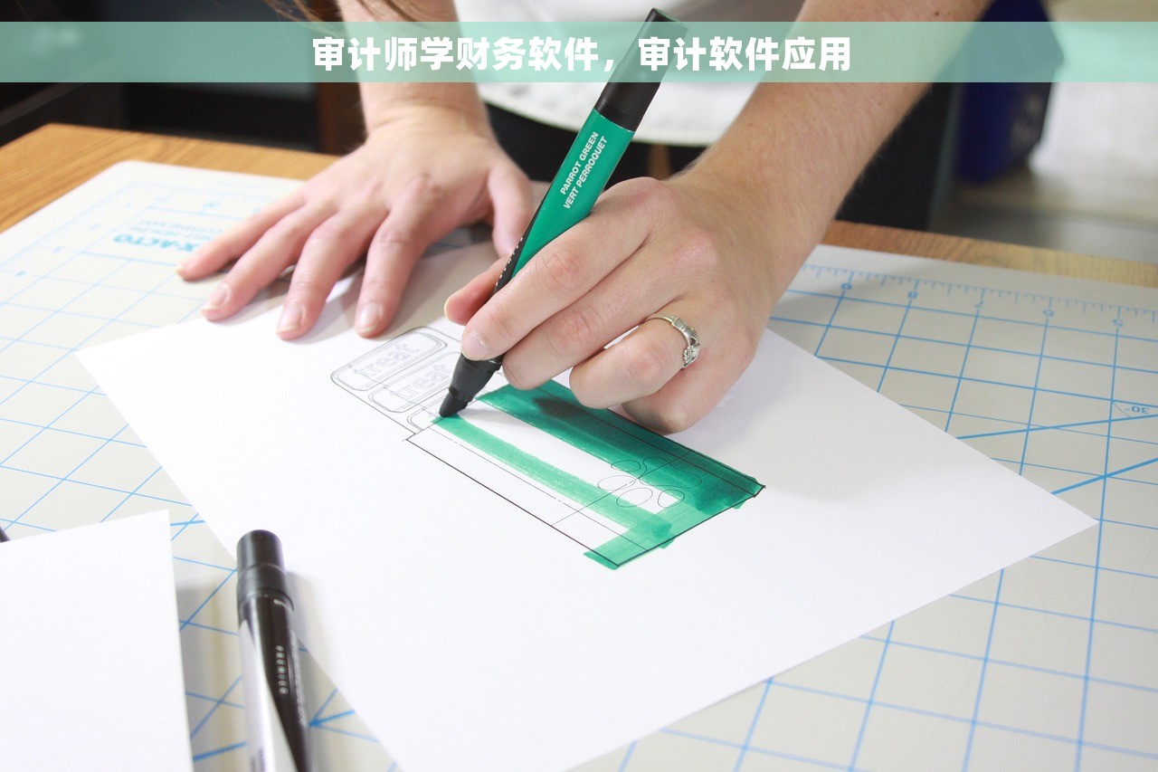 审计师学财务软件，审计软件应用