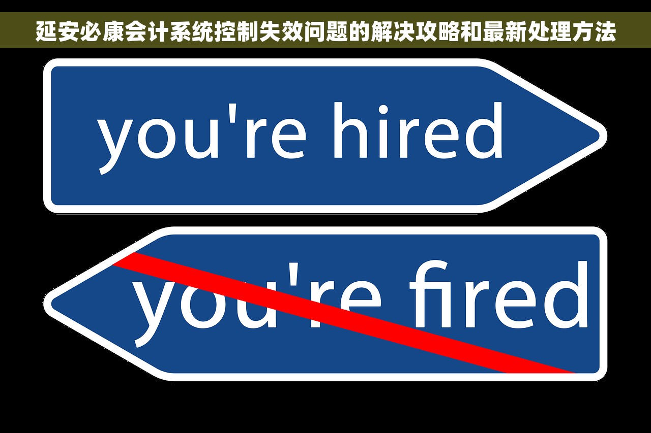 企业财务软件管理软件，公司的财务管理软件属于什么软件