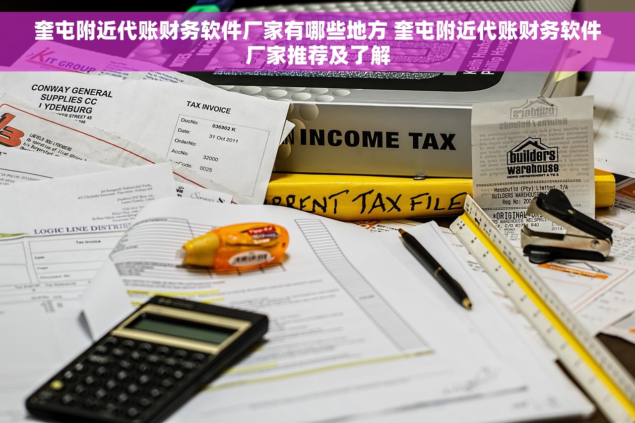 奎屯附近代账财务软件厂家有哪些地方 奎屯附近代账财务软件厂家推荐及了解