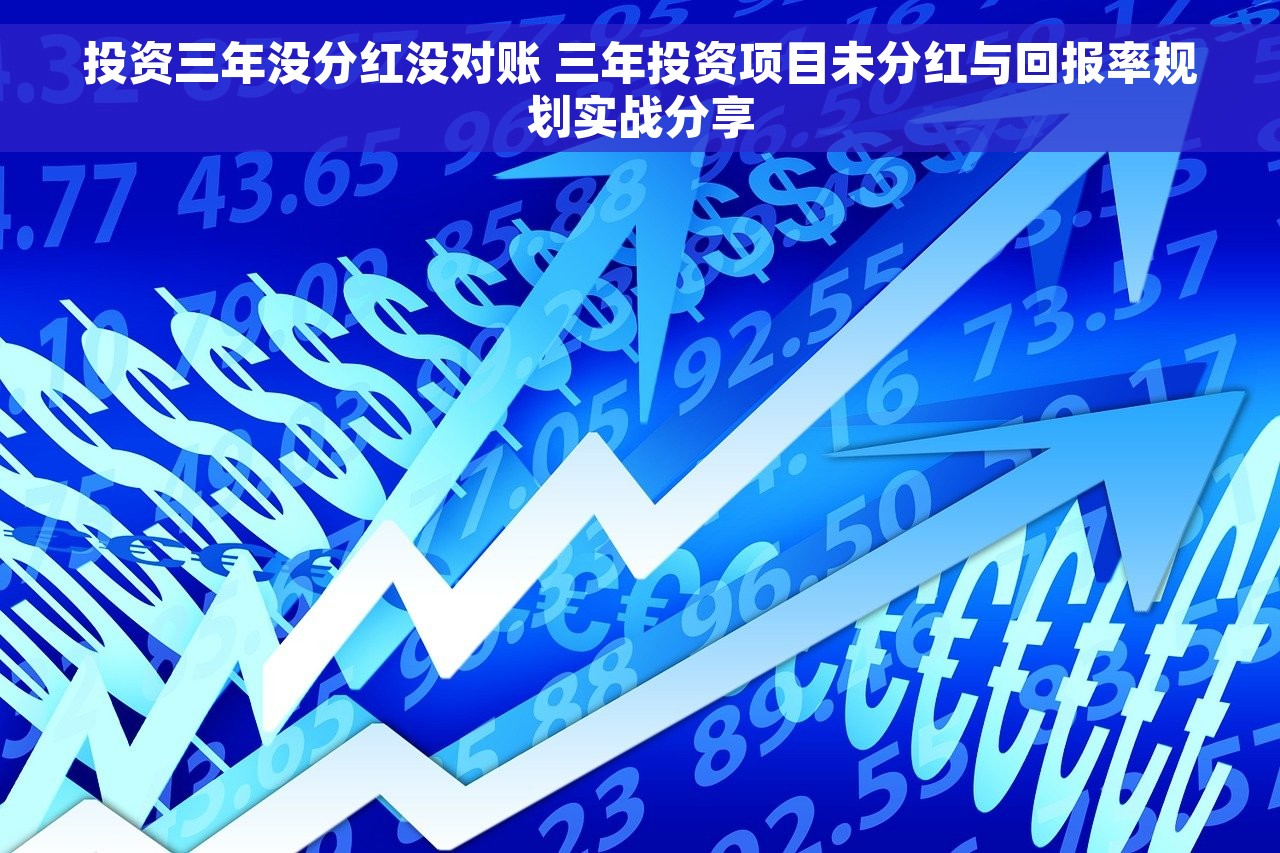 投资三年没分红没对账 三年投资项目未分红与回报率规划实战分享