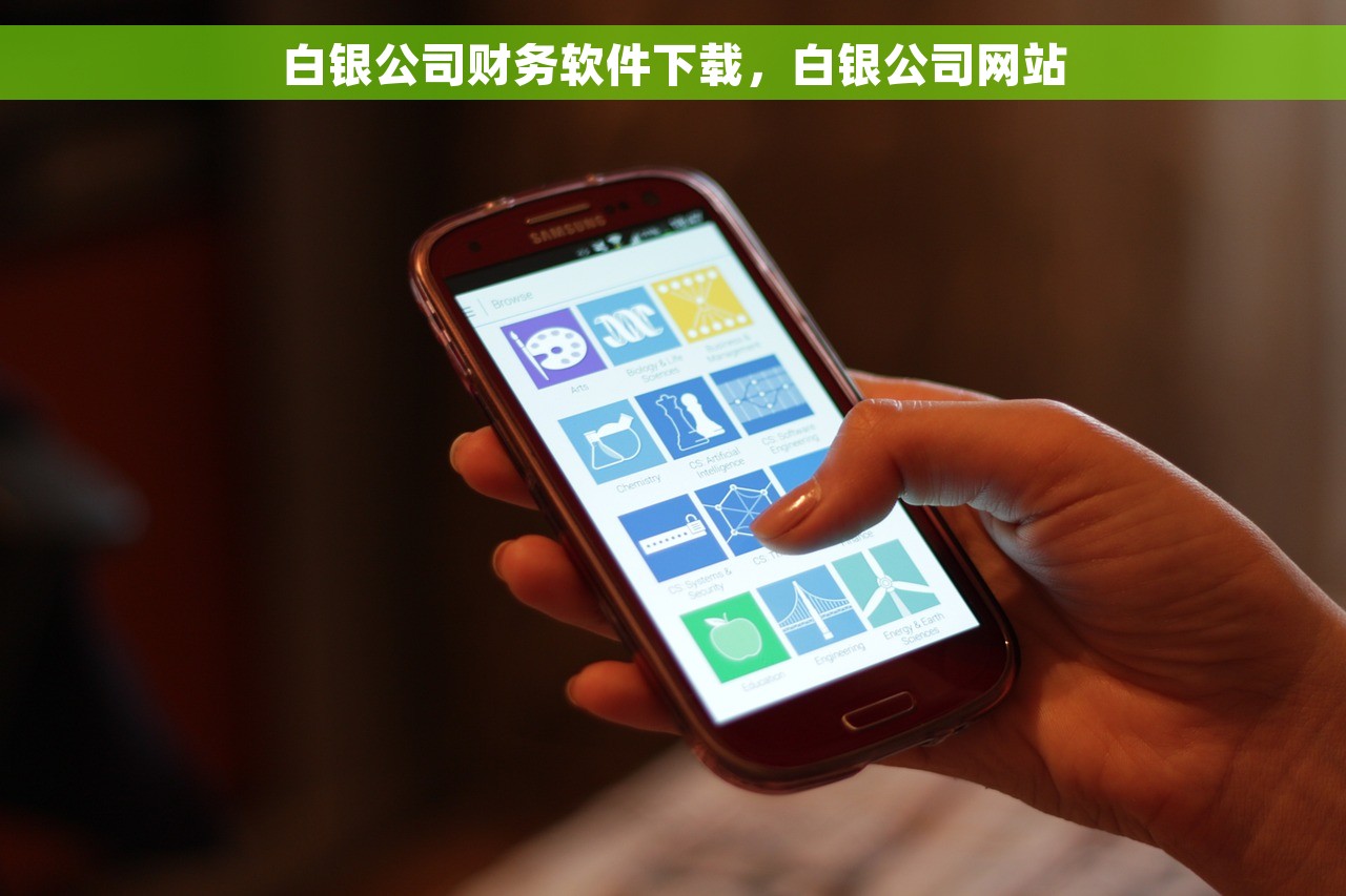 白银公司财务软件下载，白银公司网站