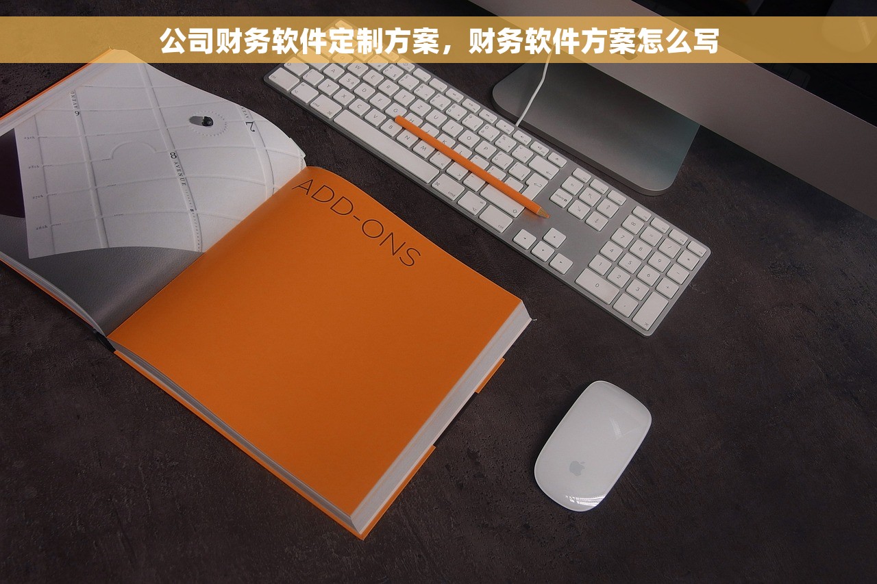 公司财务软件定制方案，财务软件方案怎么写