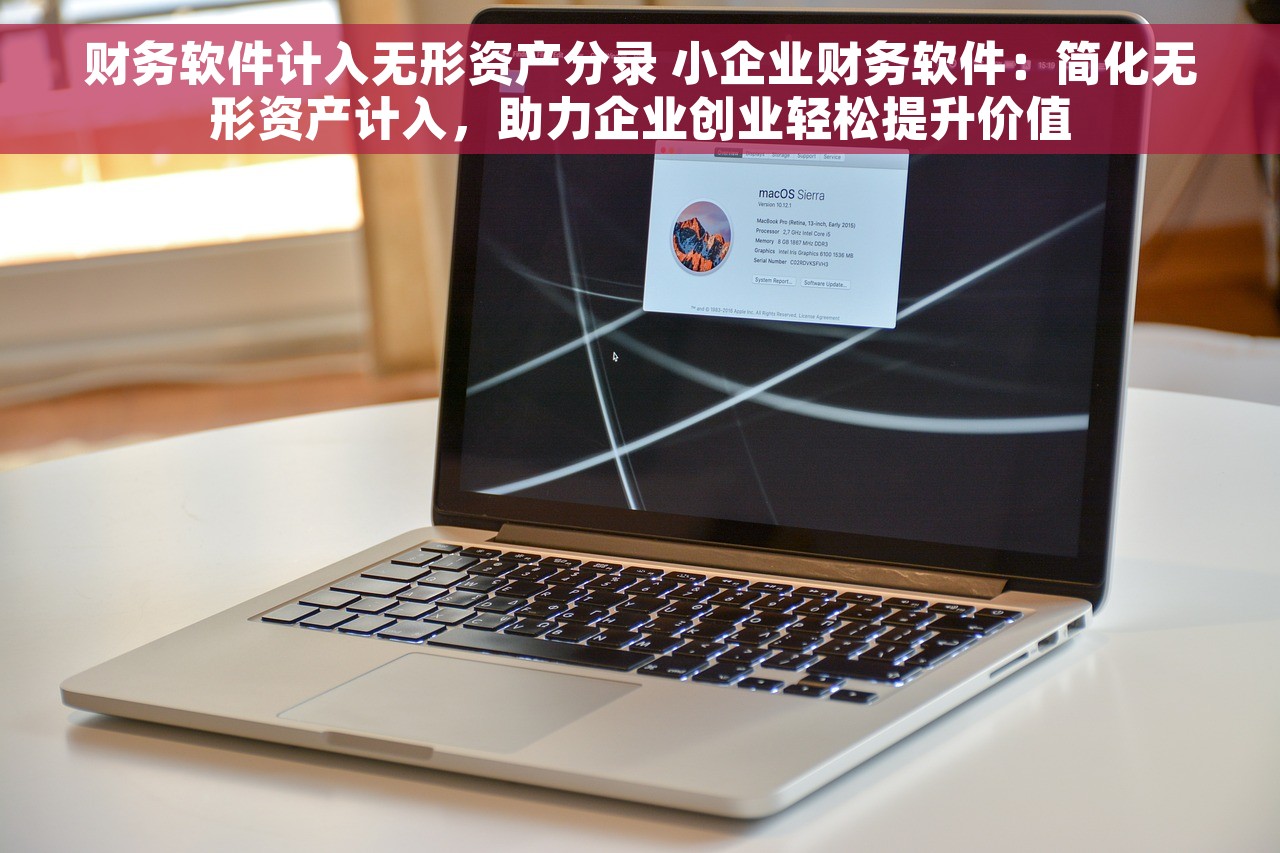 智力财务软件怎么样好用吗 智力财务软件：革新家庭理财，助力生意成功