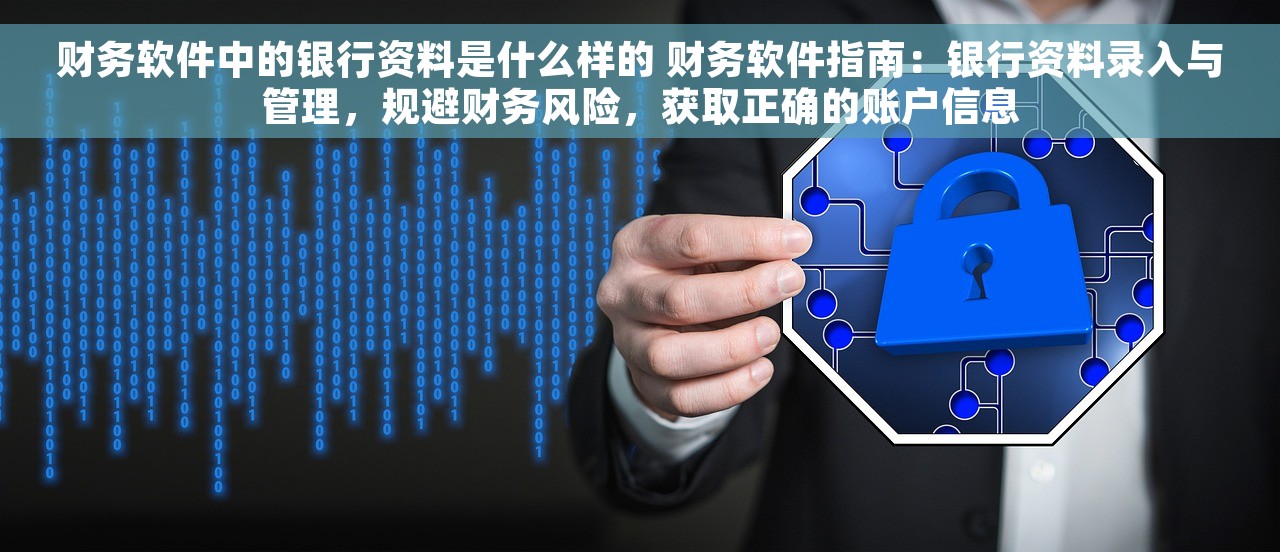 财务软件中的银行资料是什么样的 财务软件指南：银行资料录入与管理，规避财务风险，获取正确的账户信息