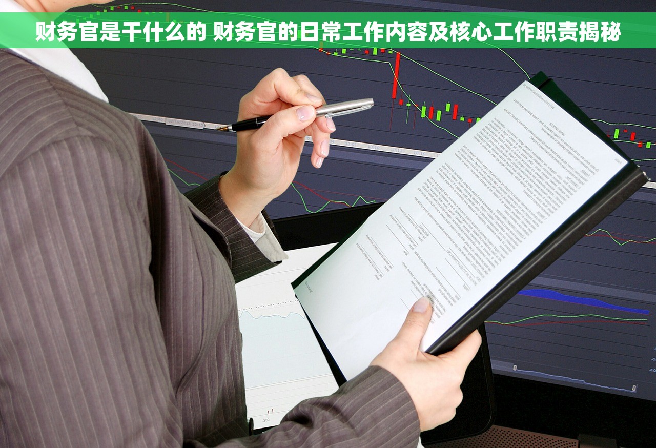 财务官是干什么的 财务官的日常工作内容及核心工作职责揭秘