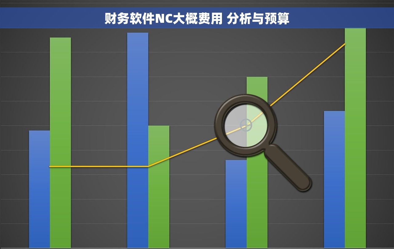 财务软件NC大概费用 分析与预算