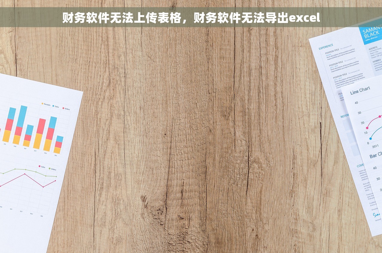 财务软件无法上传表格，财务软件无法导出excel