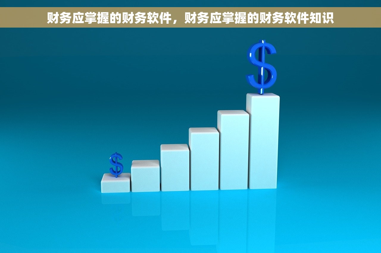 财务应掌握的财务软件，财务应掌握的财务软件知识