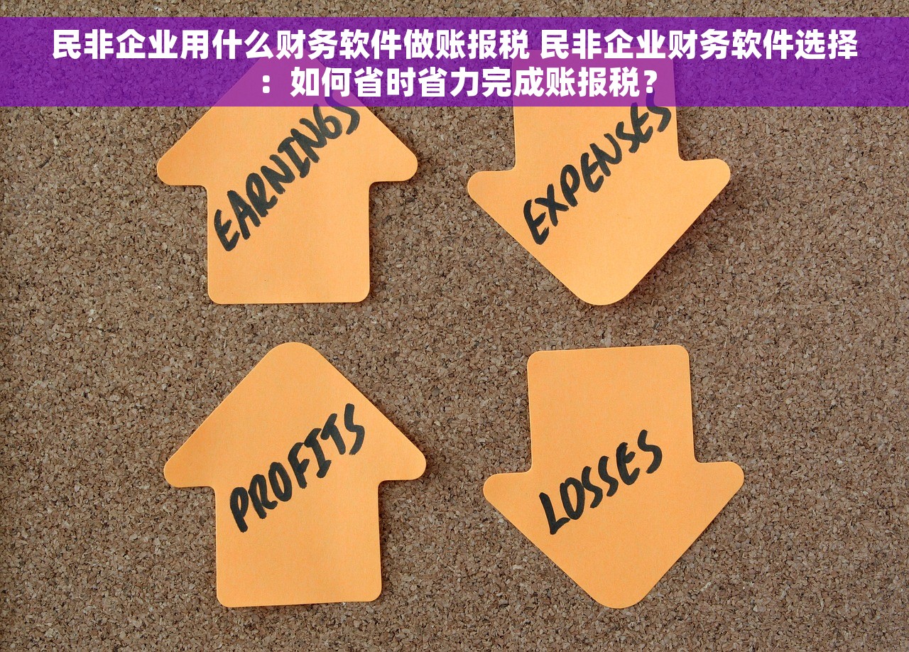 民非企业用什么财务软件做账报税 民非企业财务软件选择：如何省时省力完成账报税？