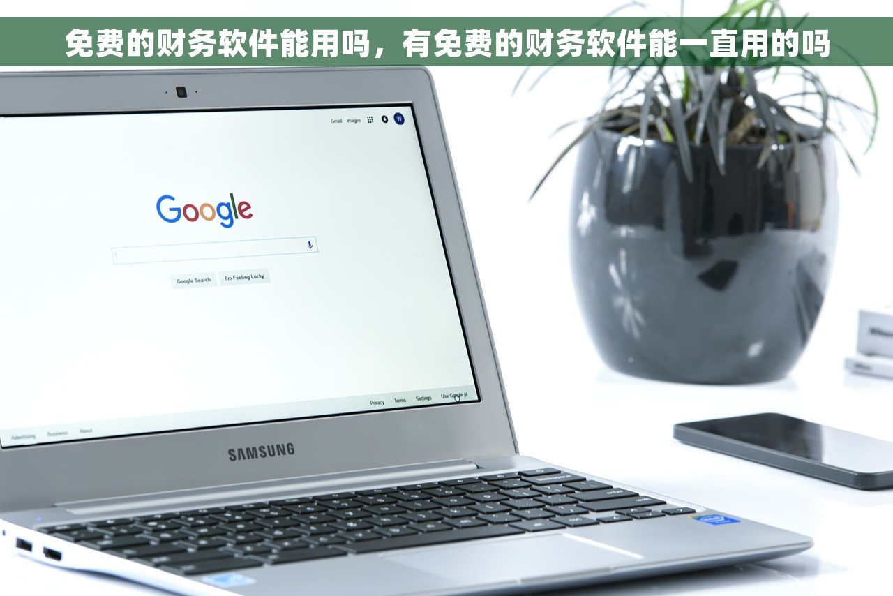免费的财务软件能用吗，有免费的财务软件能一直用的吗