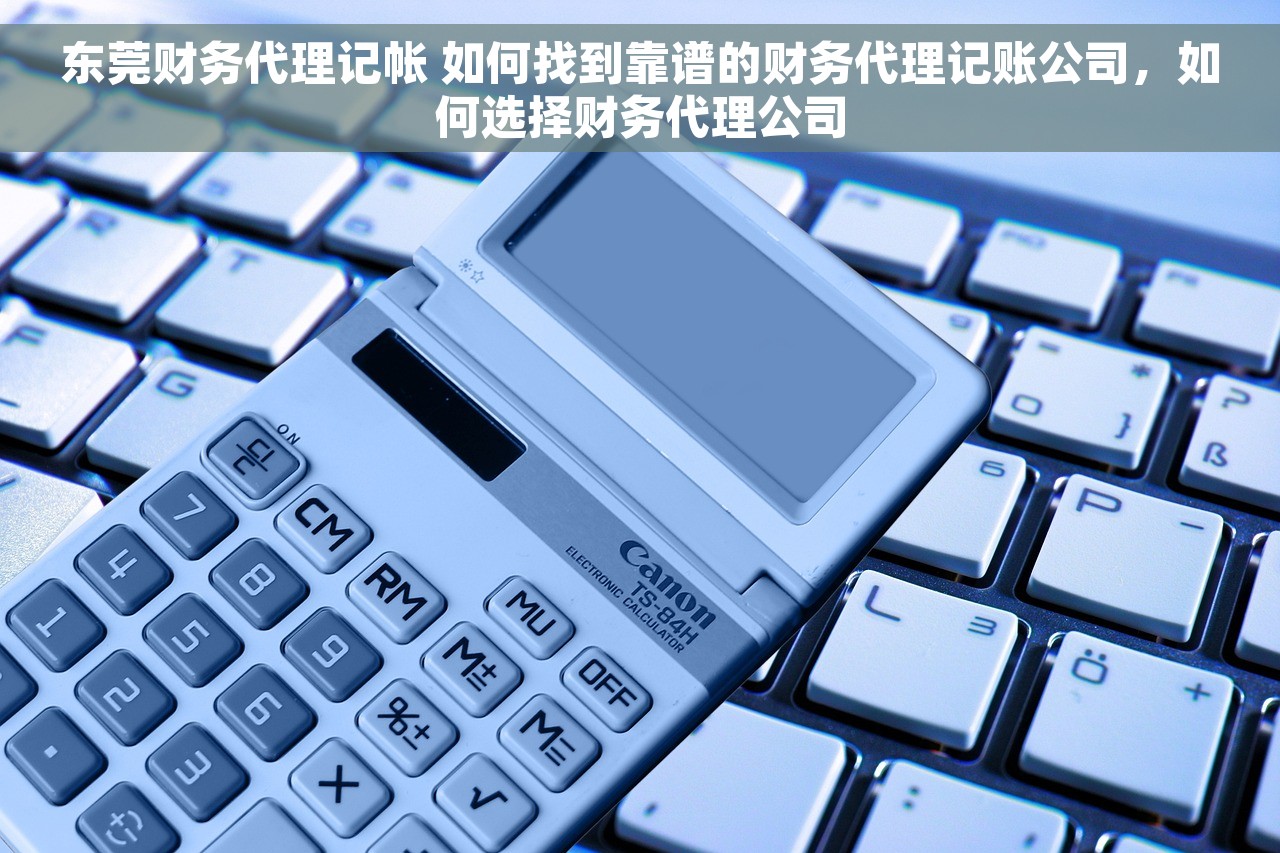 东莞财务代理记帐 如何找到靠谱的财务代理记账公司，如何选择财务代理公司
