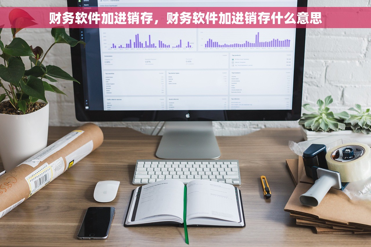 财务软件加进销存，财务软件加进销存什么意思
