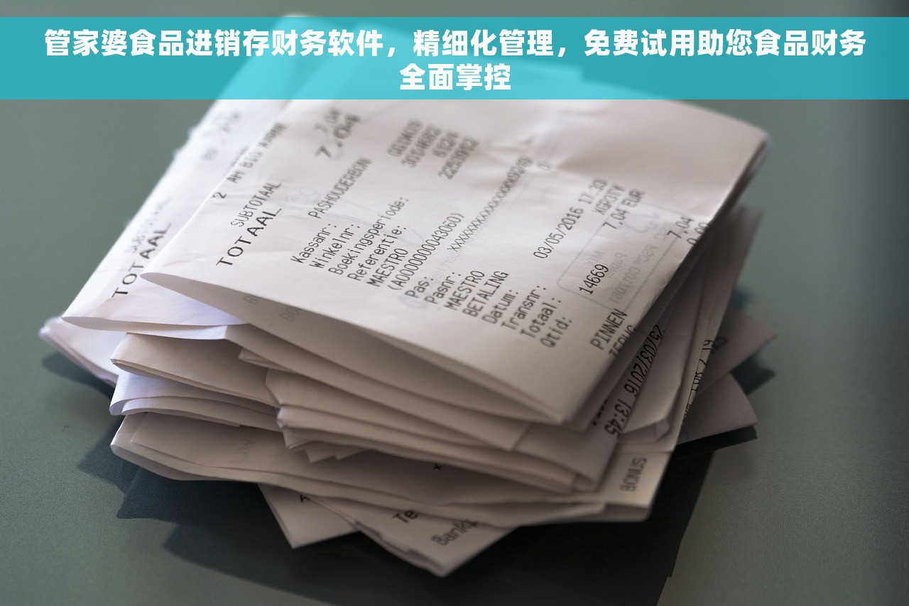 管家婆食品进销存财务软件，精细化管理，免费试用助您食品财务全面掌控