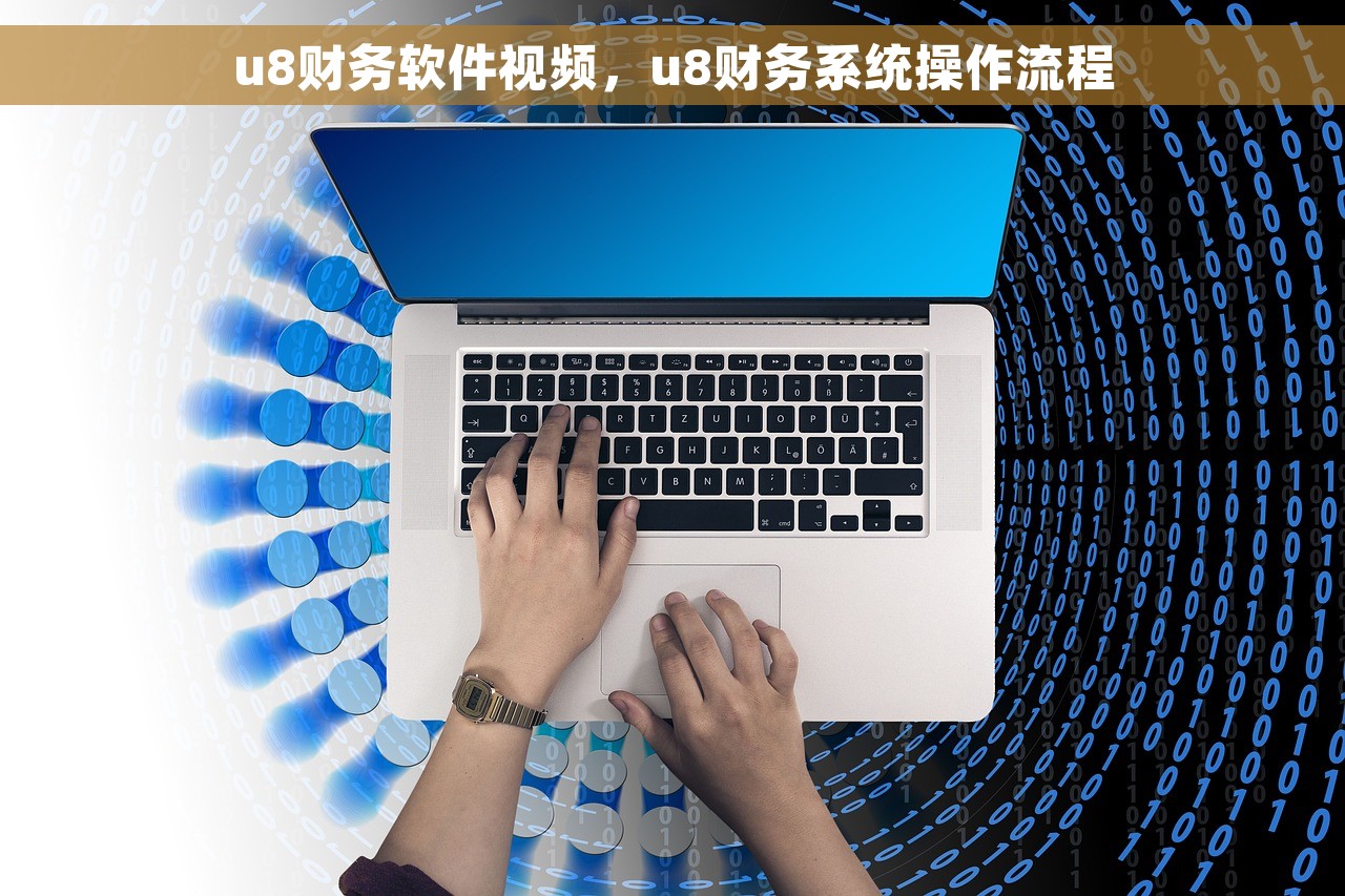 u8财务软件视频，u8财务系统操作流程