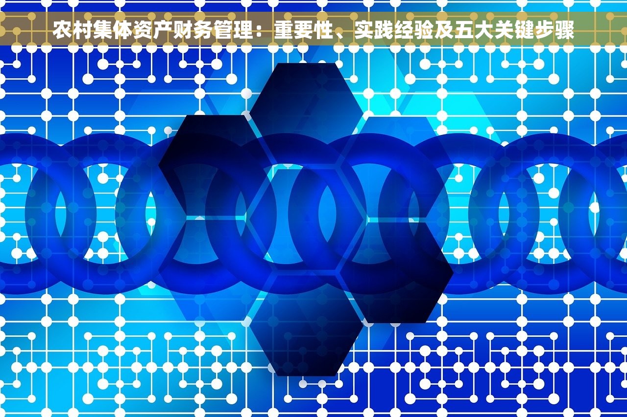 农村集体资产财务管理：重要性、实践经验及五大关键步骤