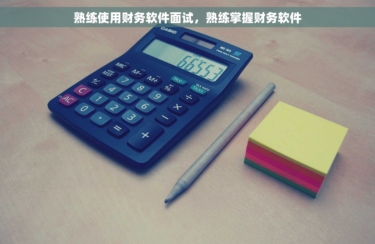 熟练使用财务软件面试，熟练掌握财务软件