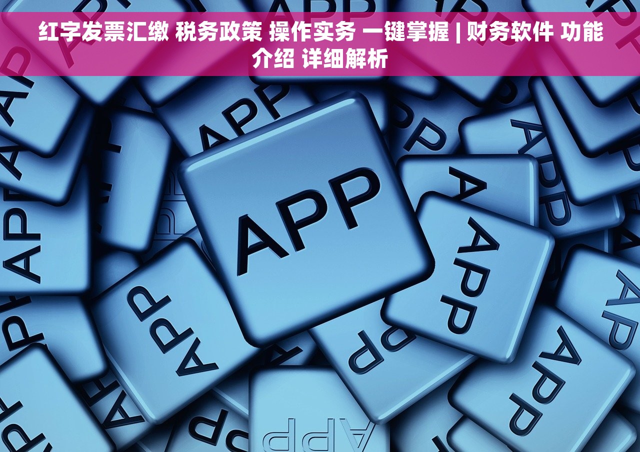 红字发票汇缴 税务政策 操作实务 一键掌握 | 财务软件 功能介绍 详细解析