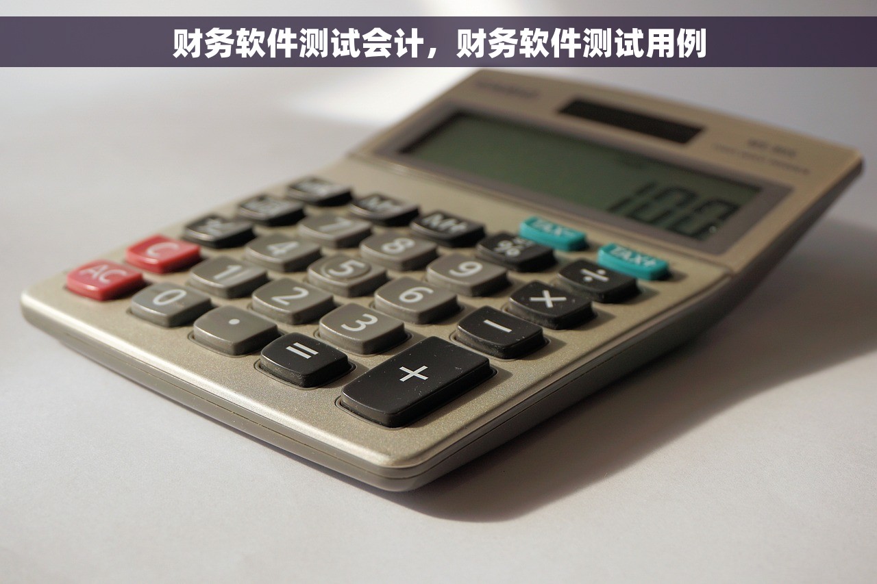 财务软件测试会计，财务软件测试用例