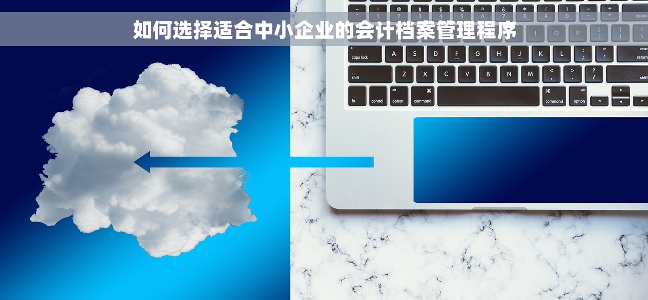 如何选择适合中小企业的会计档案管理程序