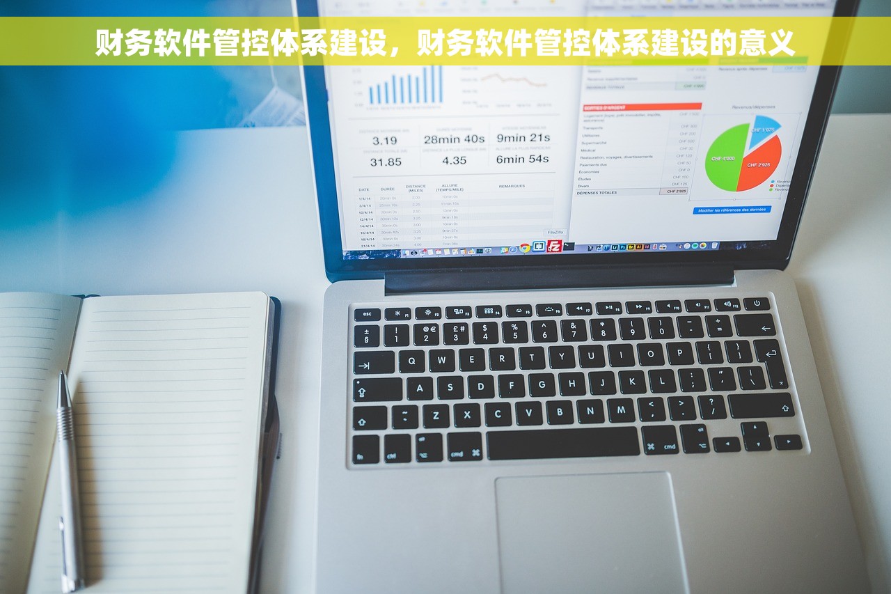 财务软件管控体系建设，财务软件管控体系建设的意义