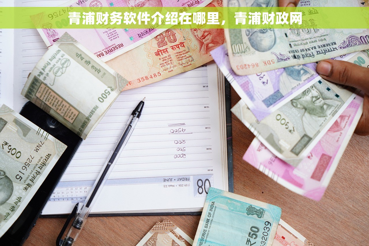 青浦财务软件介绍在哪里，青浦财政网