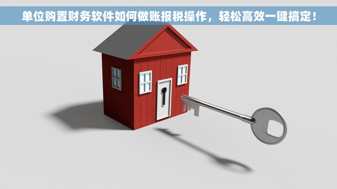 单位购置财务软件如何做账报税操作，轻松高效一键搞定！