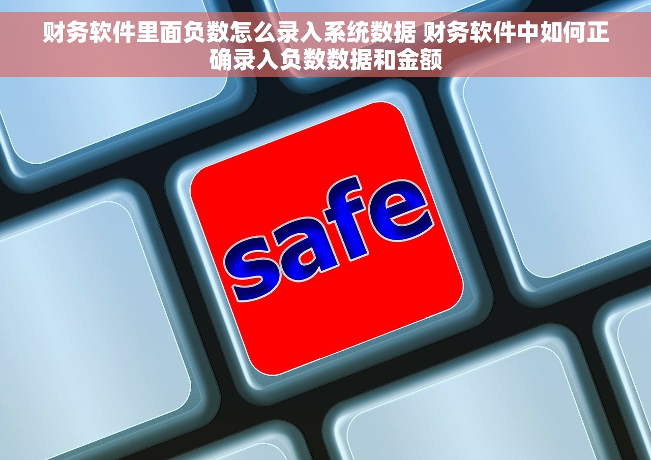 财务软件里面负数怎么录入系统数据 财务软件中如何正确录入负数数据和金额