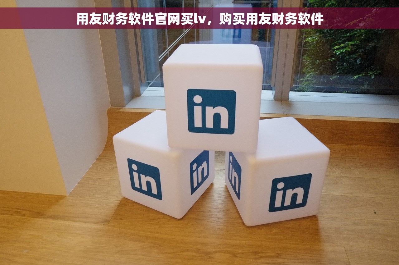 用友财务软件官网买lv，购买用友财务软件
