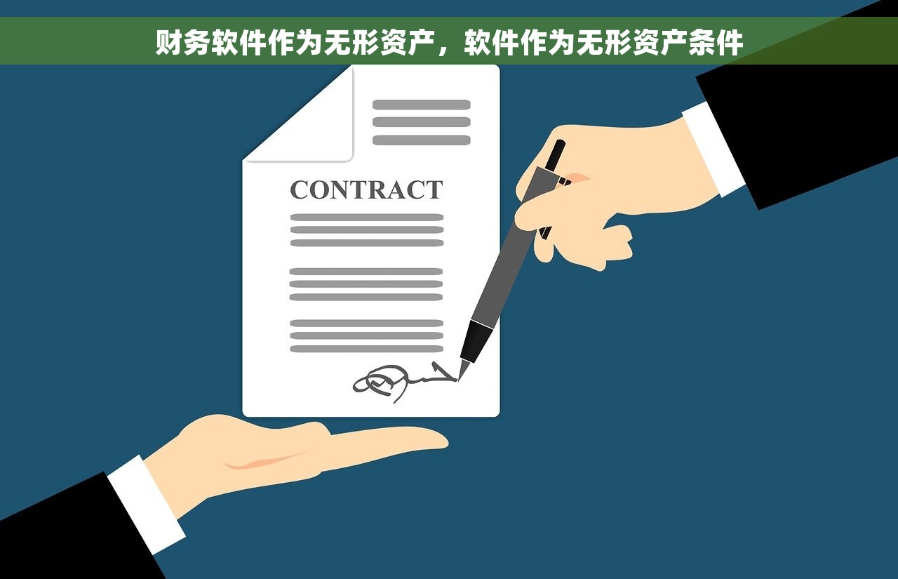 财务软件作为无形资产，软件作为无形资产条件