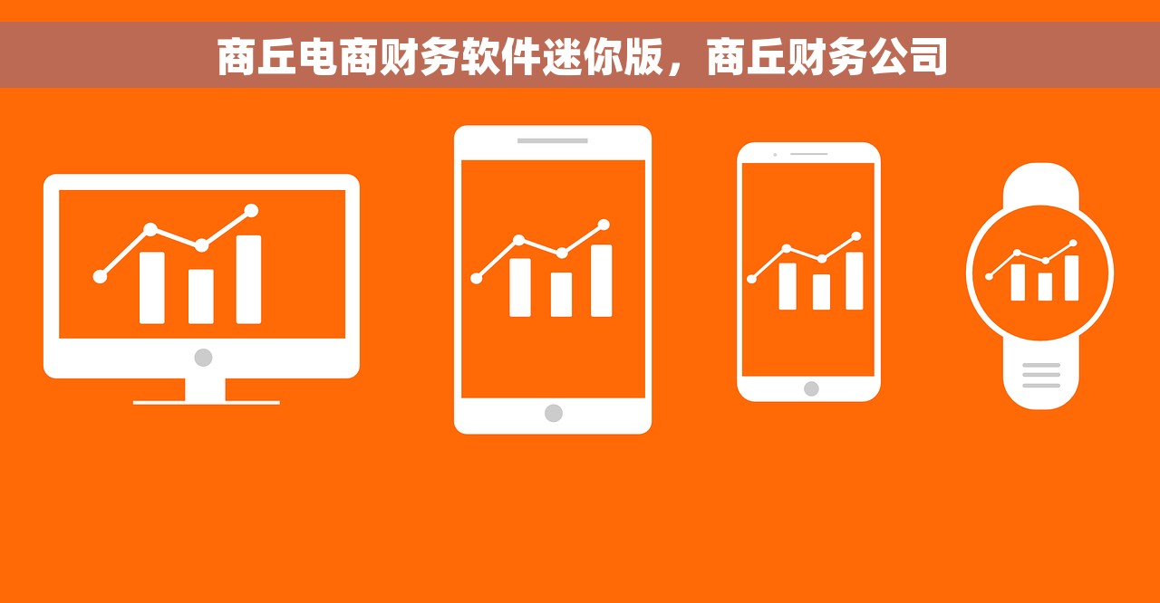 商丘电商财务软件迷你版，商丘财务公司