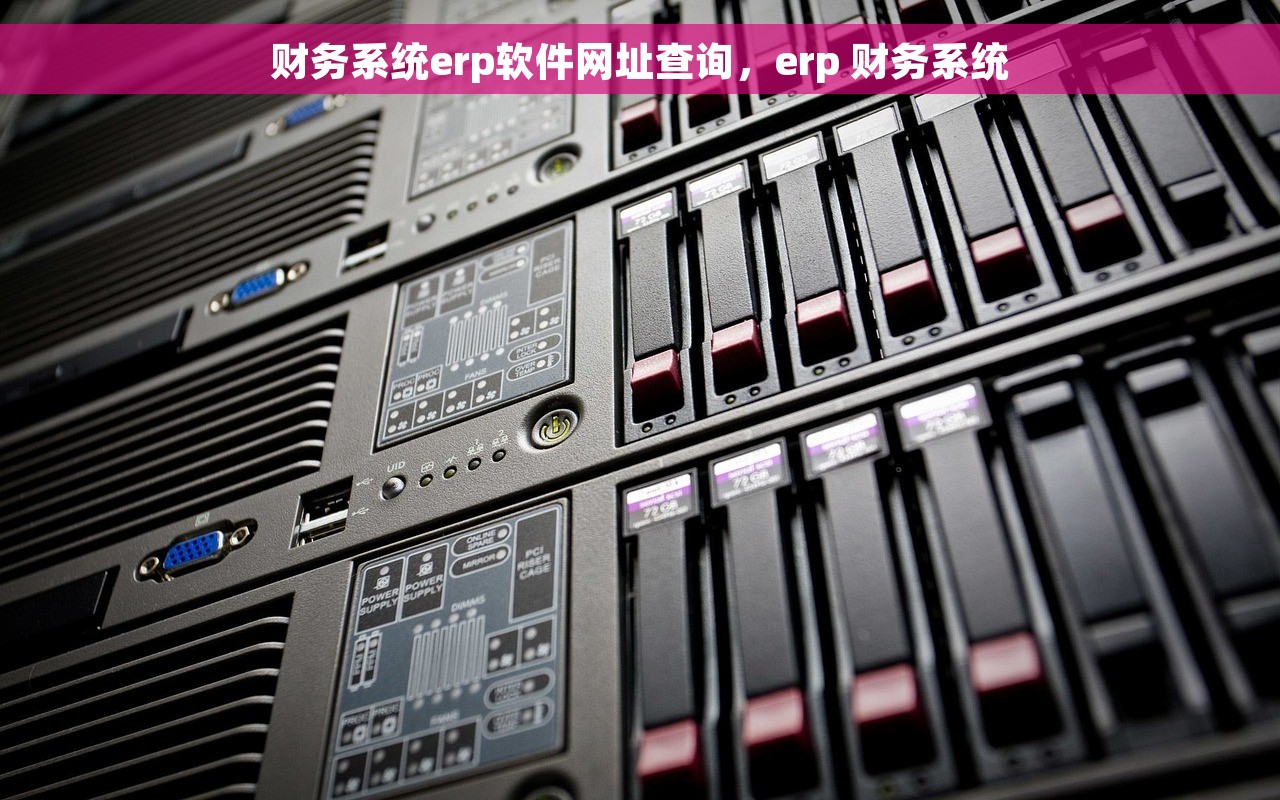 财务系统erp软件网址查询，erp 财务系统
