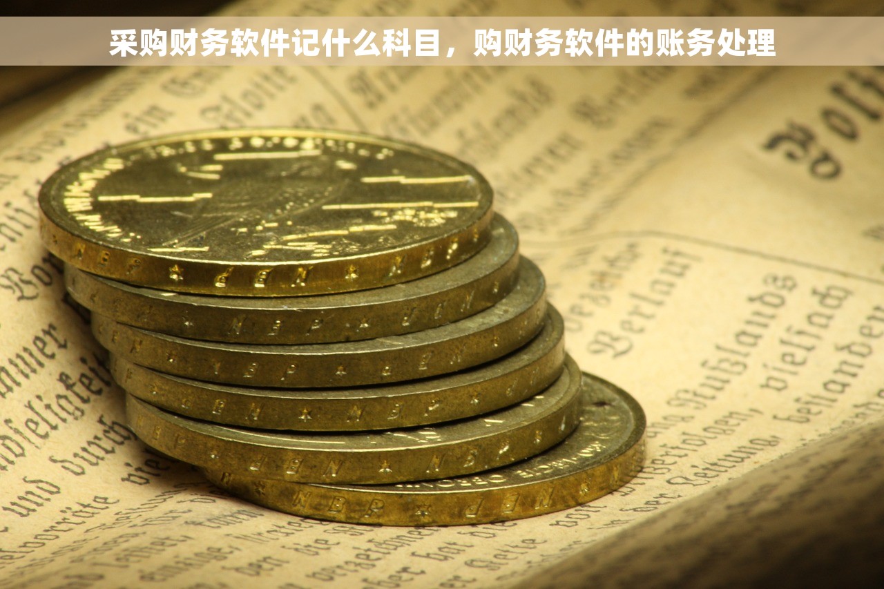 采购财务软件记什么科目，购财务软件的账务处理
