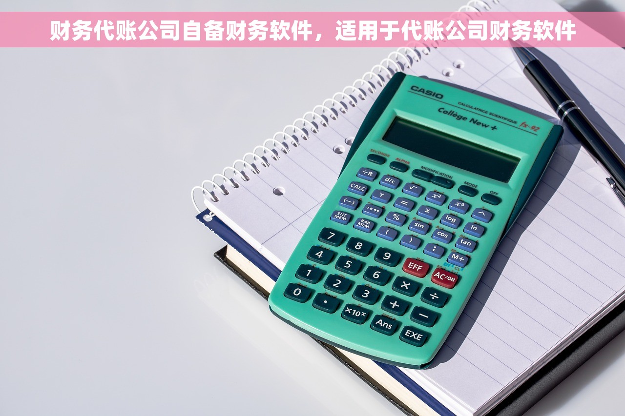 财务代账公司自备财务软件，适用于代账公司财务软件