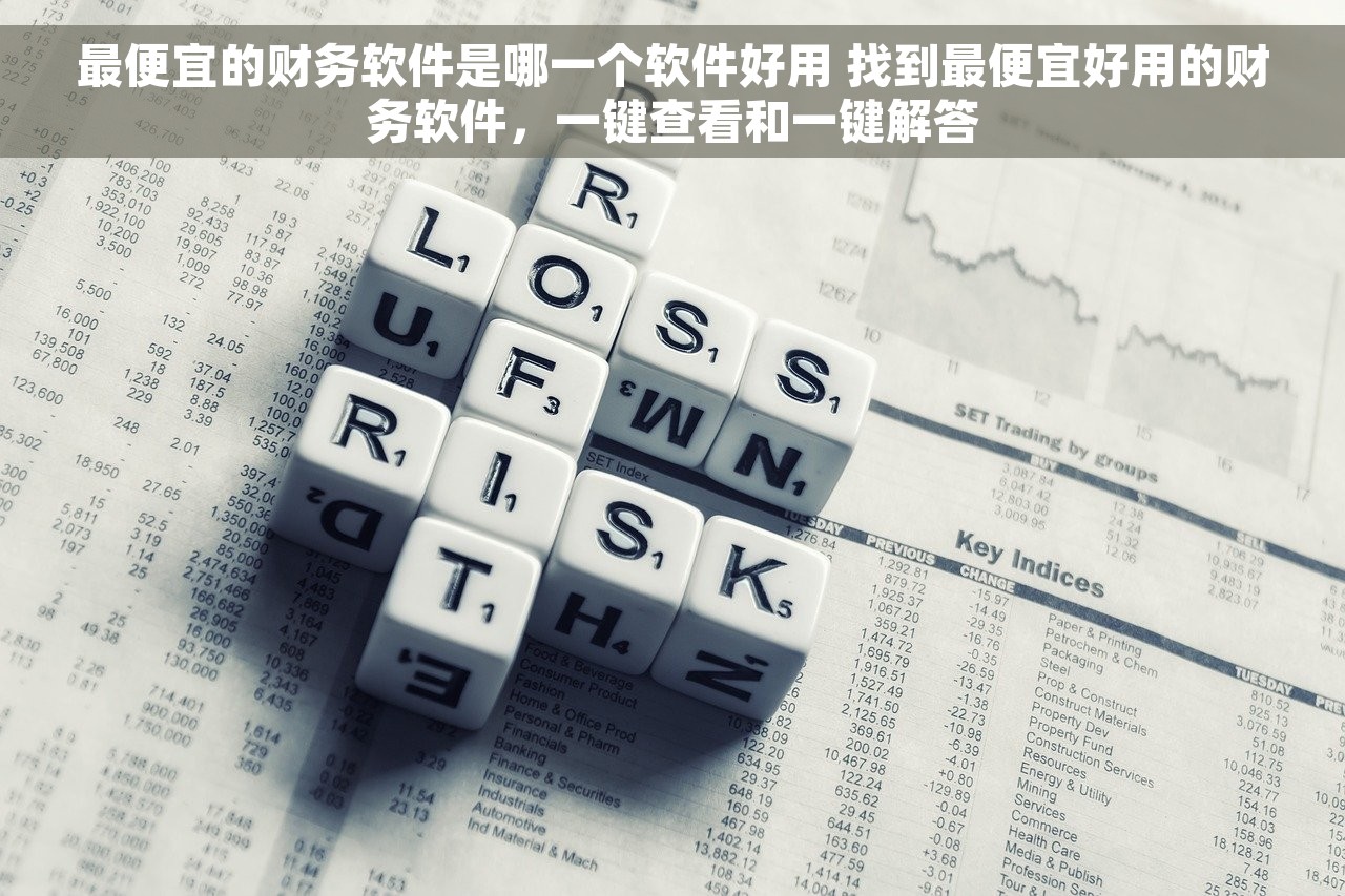 最便宜的财务软件是哪一个软件好用 找到最便宜好用的财务软件，一键查看和一键解答