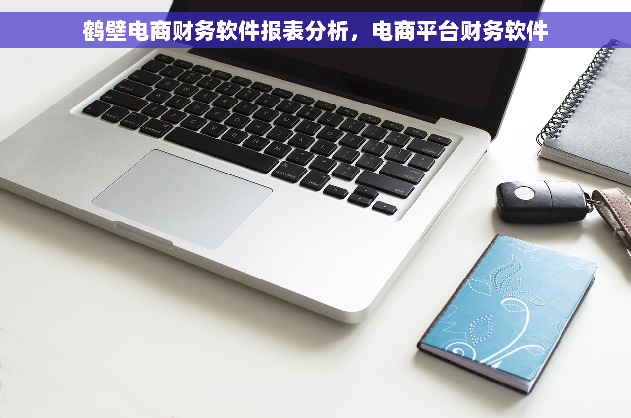鹤壁电商财务软件报表分析，电商平台财务软件