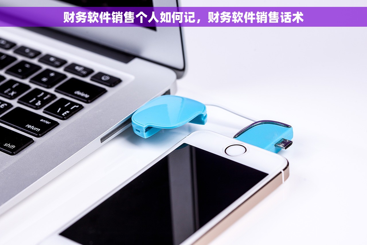 大沥财务软件公司，佛山财务公司